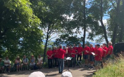 Klingende Landschaft – Sommer 2025 – Todnauberg