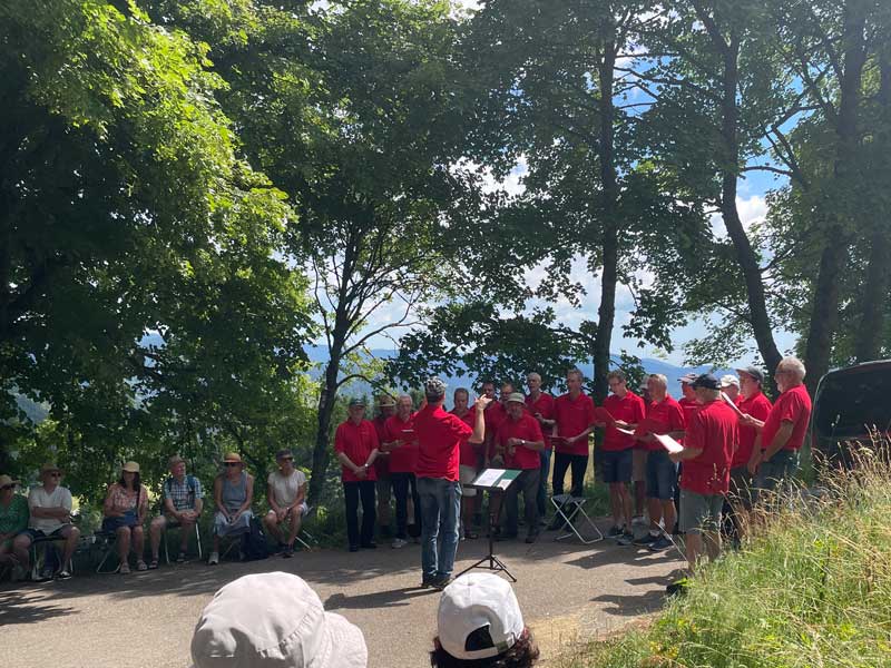 Klingende Landschaft – Sommer 2025 – Todnauberg